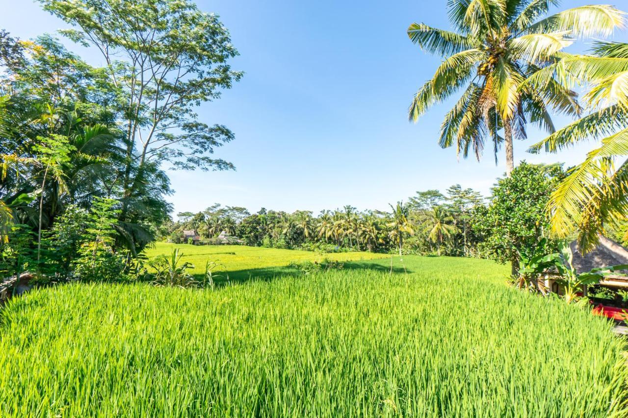 Rouge - Private Villa Passion Ubud  Luaran gambar